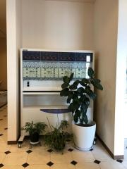 あおばら接骨院