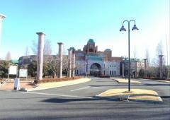 平成国際大学