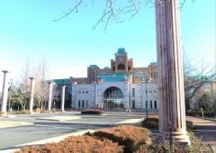 平成国際大学
