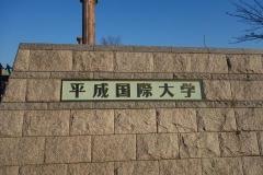 平成国際大学