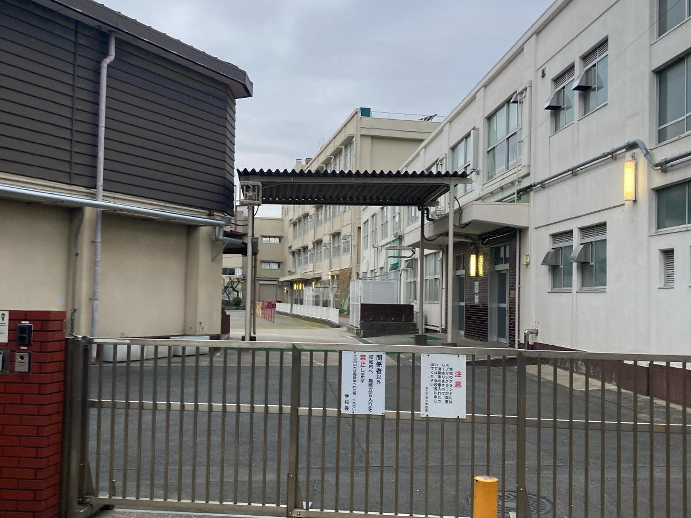 活動歴および当時の関連ビジュアル記録