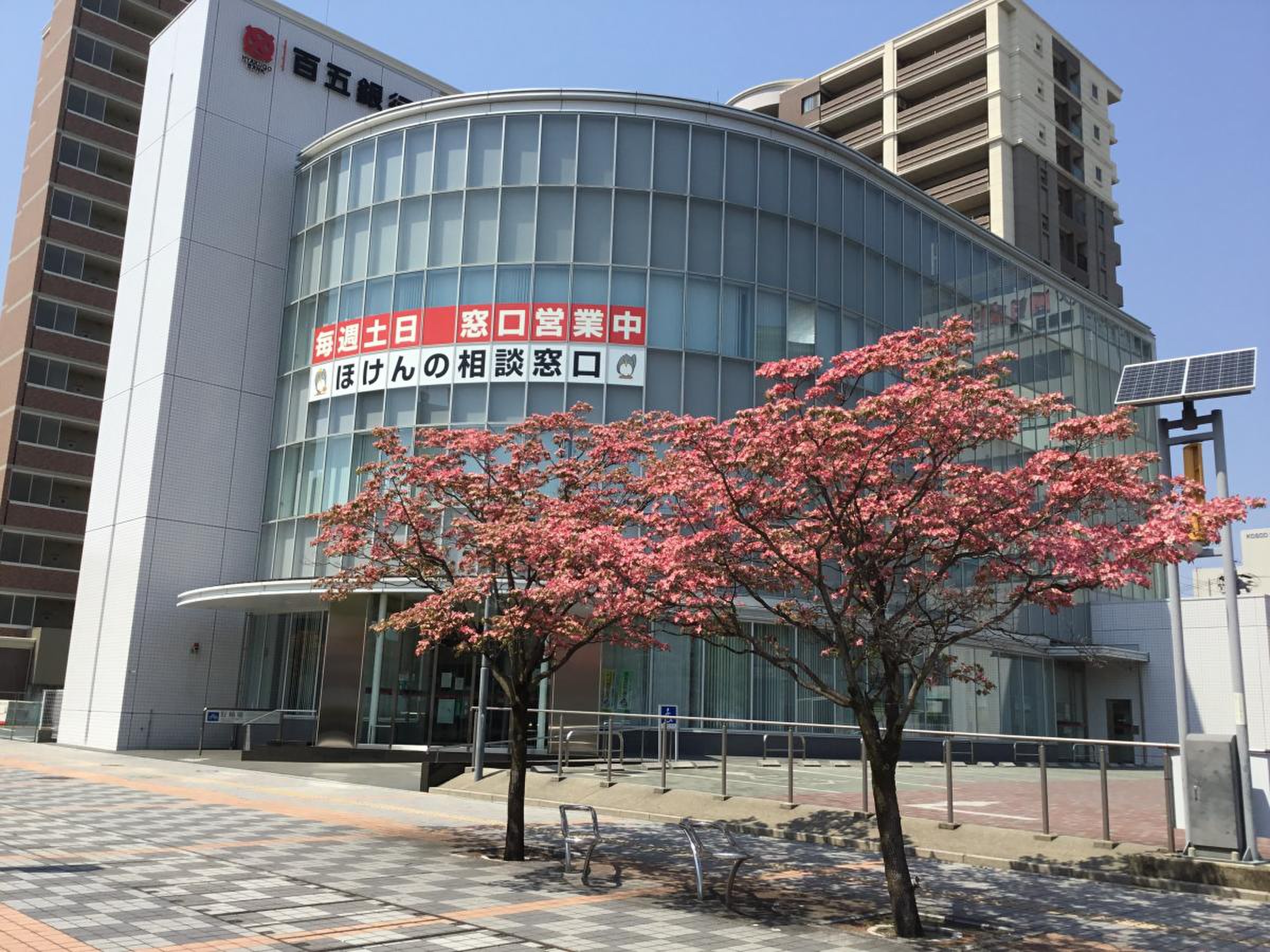 活動歴および当時の関連ビジュアル記録