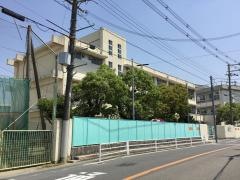 深井小学校