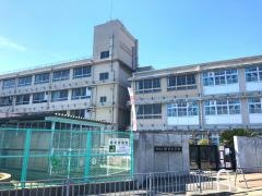 深井小学校