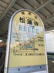 「松蓮寺」バス停留所