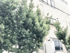 にしむら接骨院