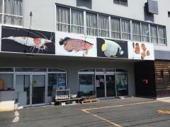 アクアリウムプロショップAPN名古屋店