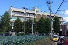 大相模小学校