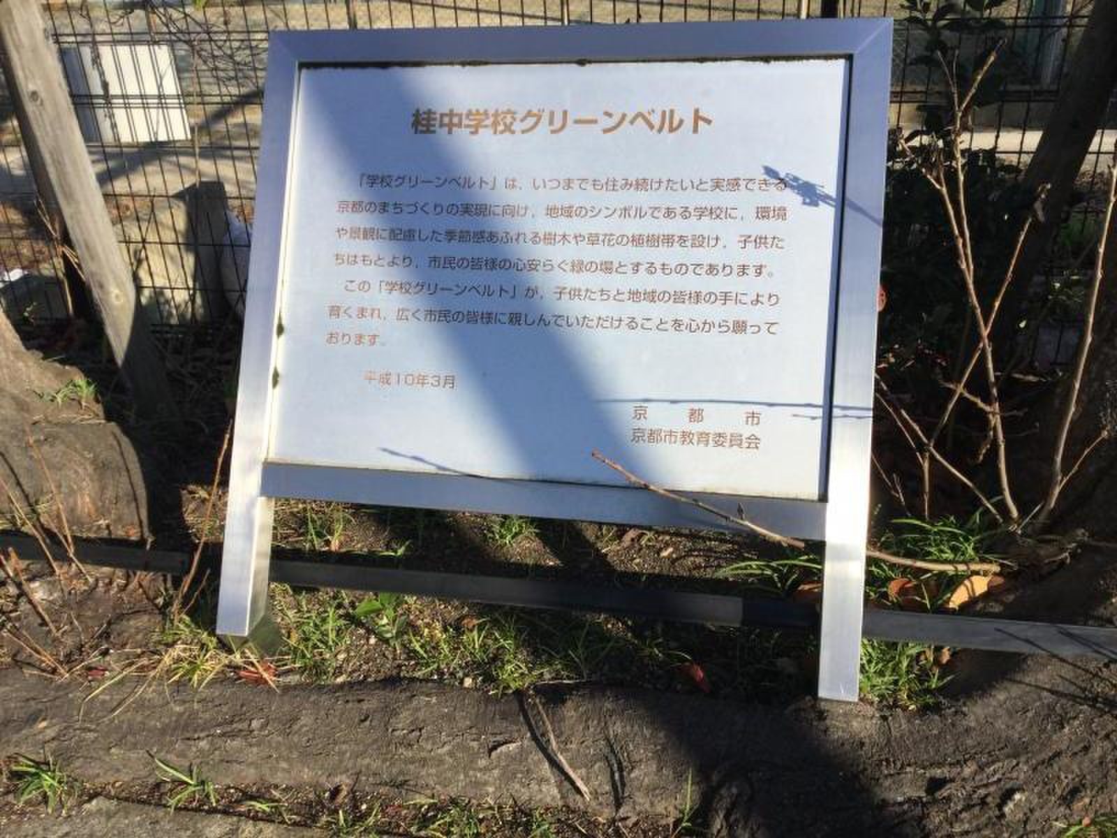 京都 市立 桂 中学校