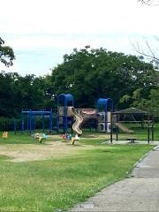 箱作公園