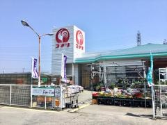 コメリハード＆グリーン　西淡店