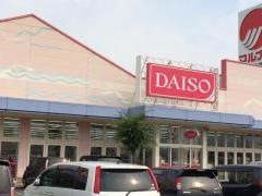 ザ・ダイソー　マルナカ東予店