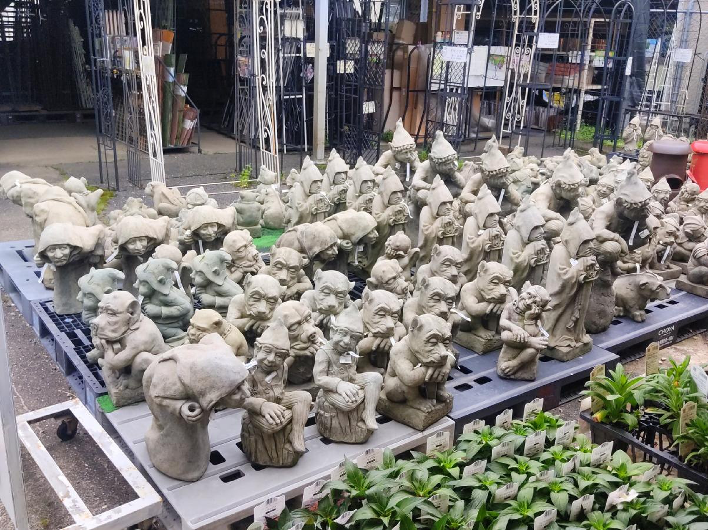 三貴 フラワー センター