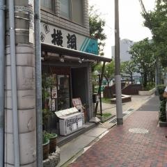 横綱