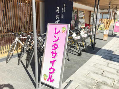 うめ てらす 自転車