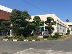 杉上小学校