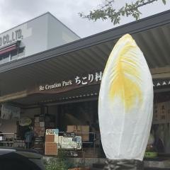 ちこり村