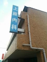 上原内科
