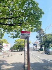 「香椎宮前」バス停留所