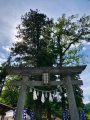 諏訪神社の芍薬園