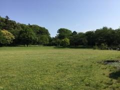見沼氷川公園