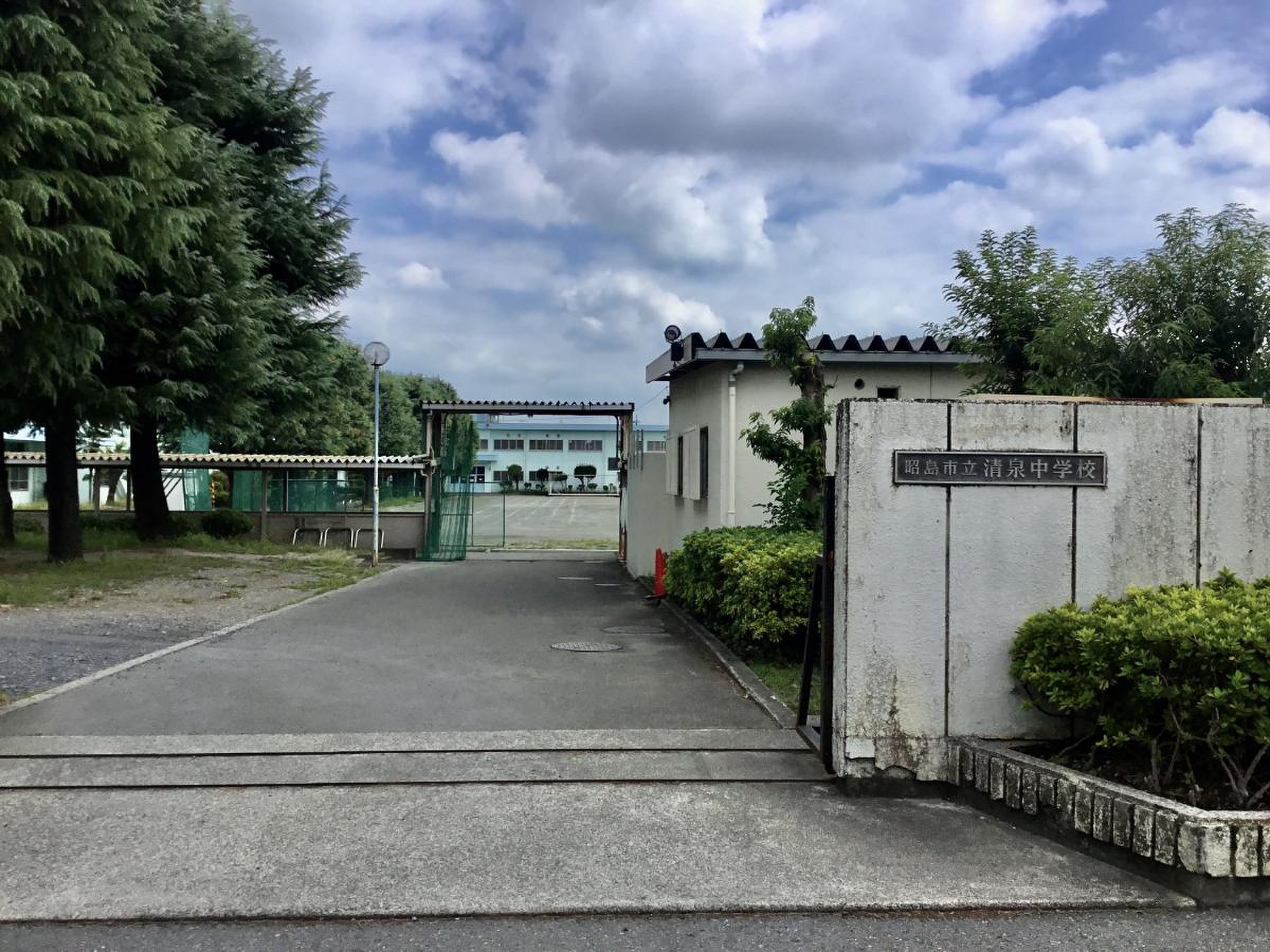 活動歴および当時の関連ビジュアル記録