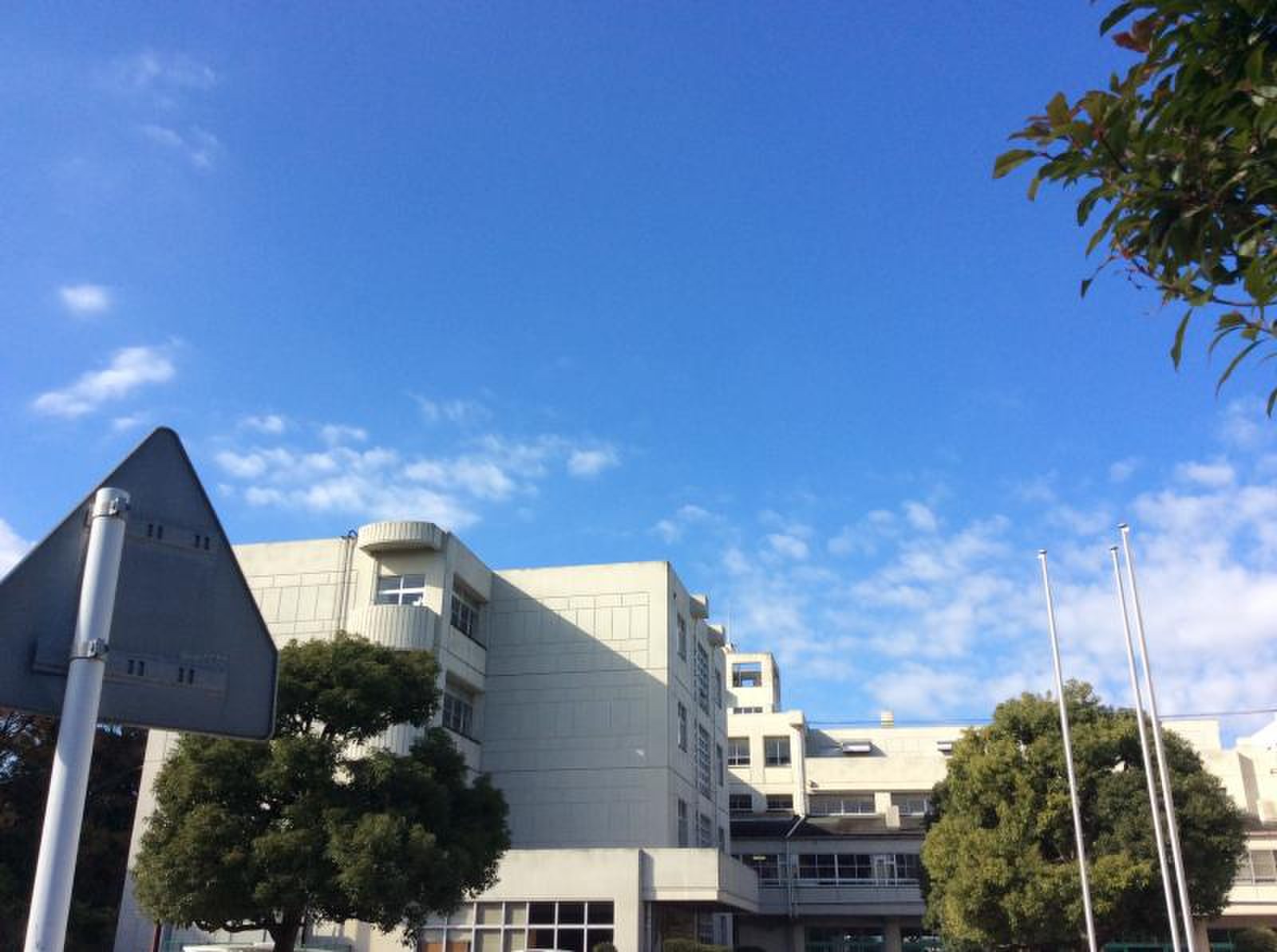 神奈川 県立 岸根 高等 学校