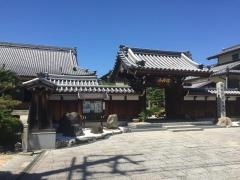 菊泉院