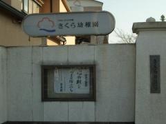 さくら幼稚園