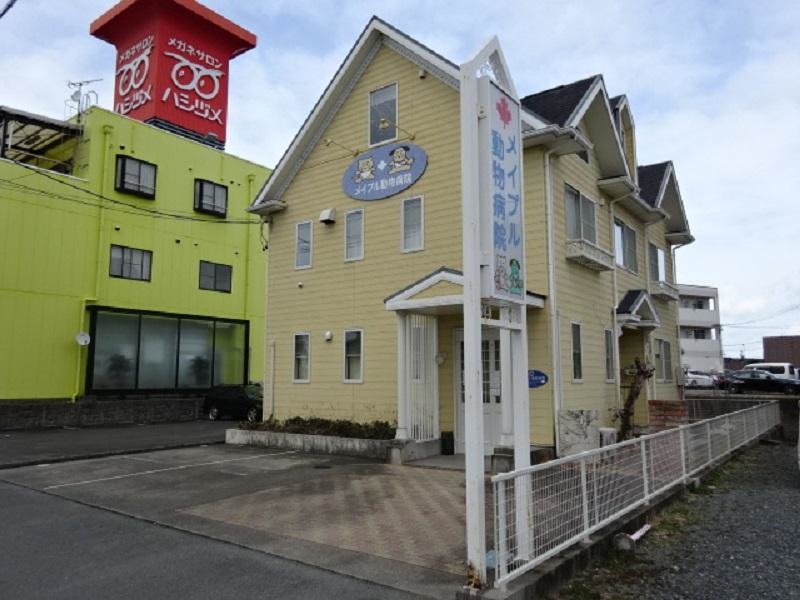 メイプル動物病院
