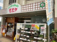 モモヤ