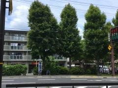 「膳所公園」バス停留所
