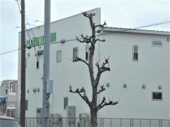 あさい歯科矯正歯科