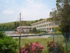 修正小学校