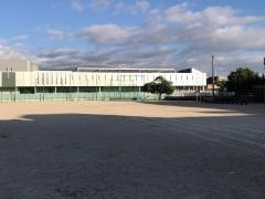 城南小学校