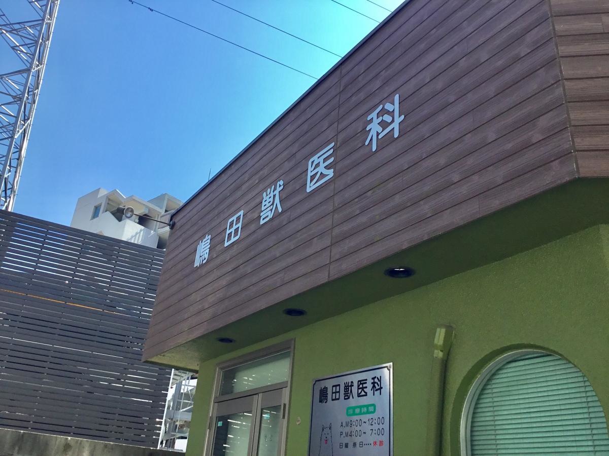 島田獣医科医院
