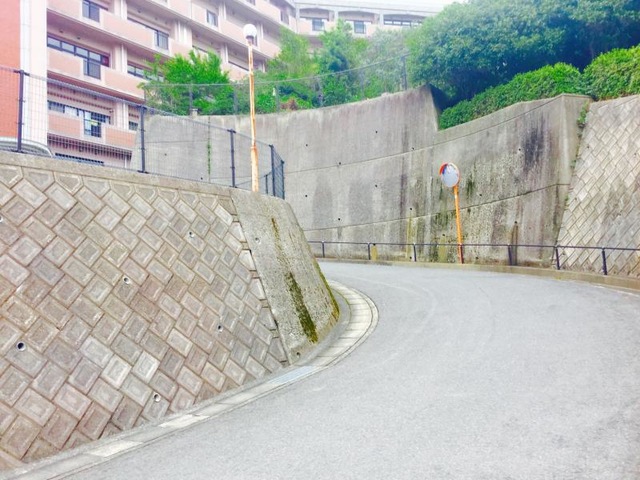 春秋会リエゾン長崎くぬぎ（橡）