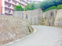 春秋会リエゾン長崎くぬぎ（橡）