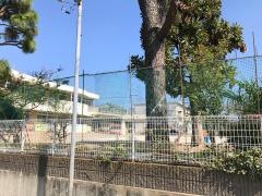 泉幼稚園