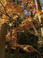 宇津江四十八滝