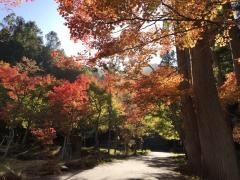 宇津江四十八滝