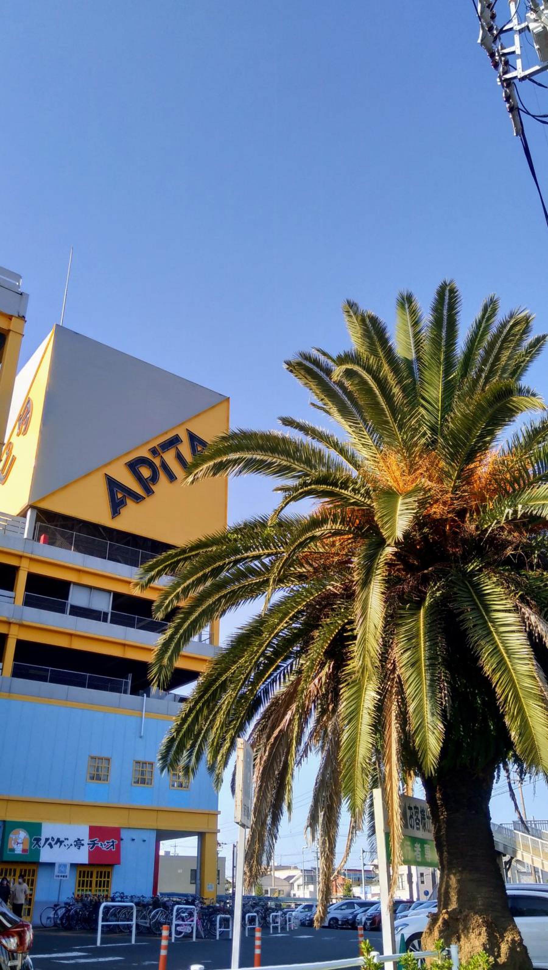 アピタ 向山 店