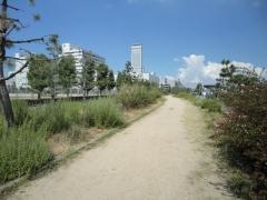 りんくう羽倉崎北2号緑地