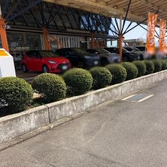 トヨタカローラ大分本店