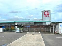 コメリハード＆グリーン　右松店