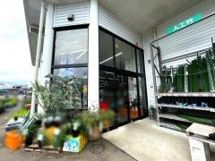 コメリハード＆グリーン　右松店
