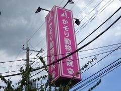 かそり動物病院