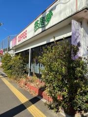 茶居夢