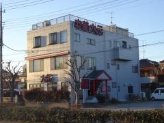 大元