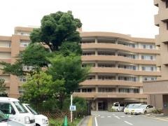 薔薇の樹苑